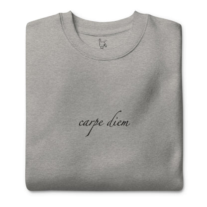 carpe diem grey sweatshirt nap