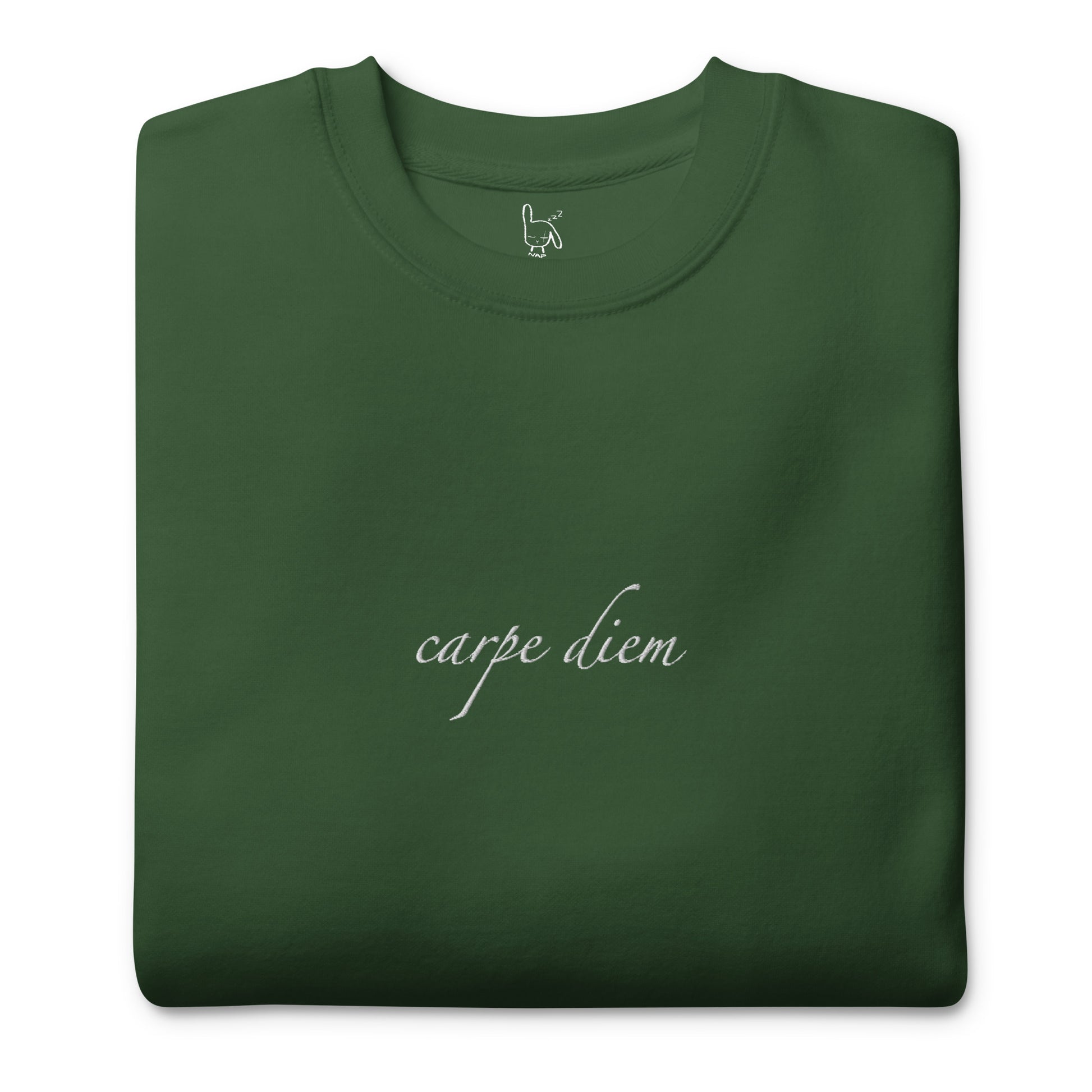 carpe diem green sweatshirt nap