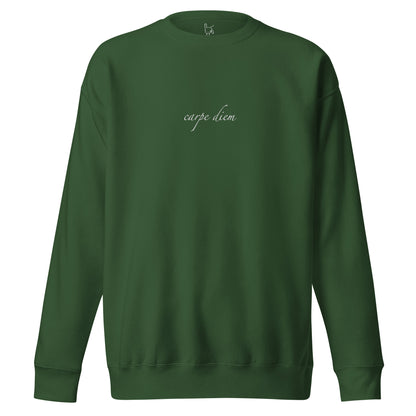 carpe diem green sweatshirt nap