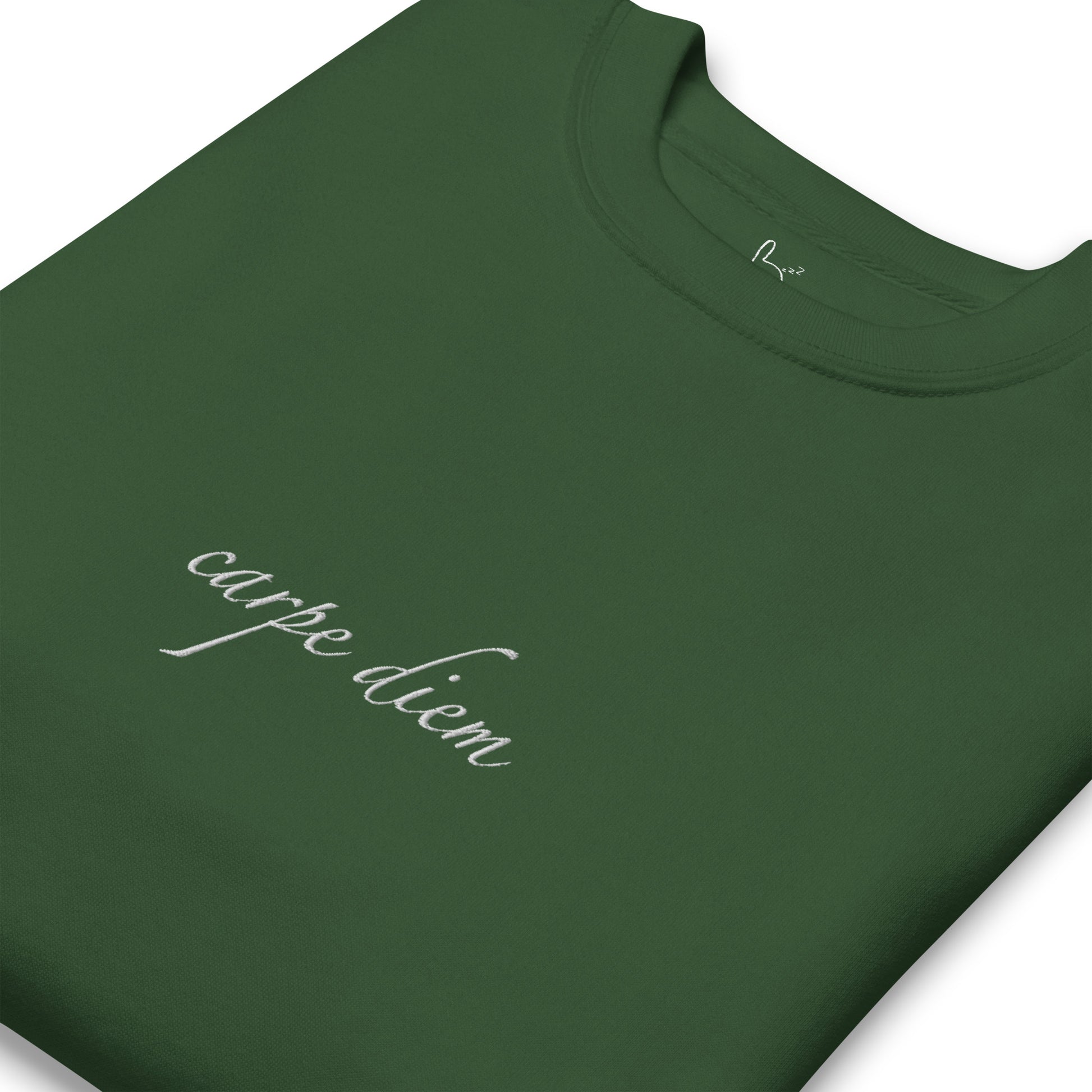 carpe diem green sweatshirt nap