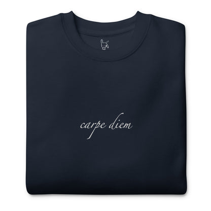 carpe diem navy sweatshirt nap